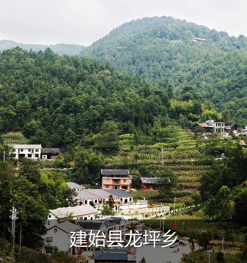 建始县龙坪乡